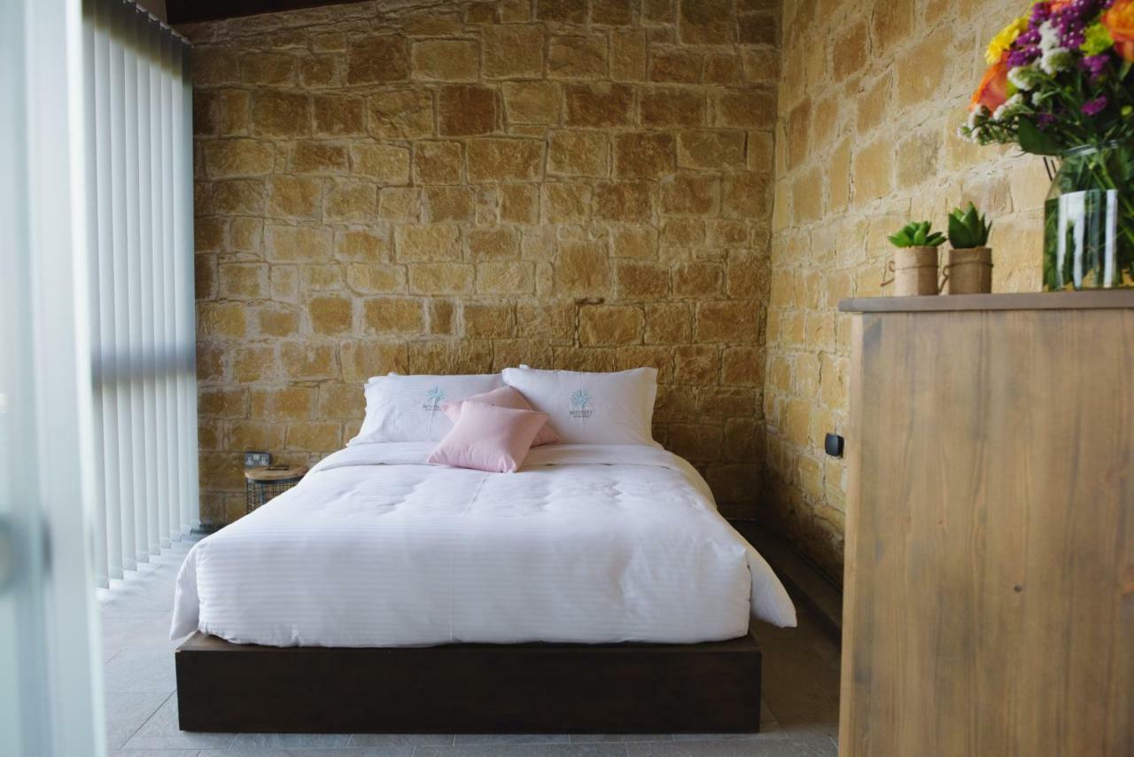 Serenity Boutique House Vouni المظهر الخارجي الصورة
