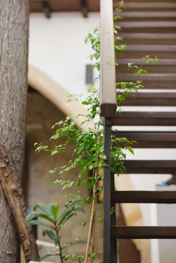Serenity Boutique House Vouni المظهر الخارجي الصورة